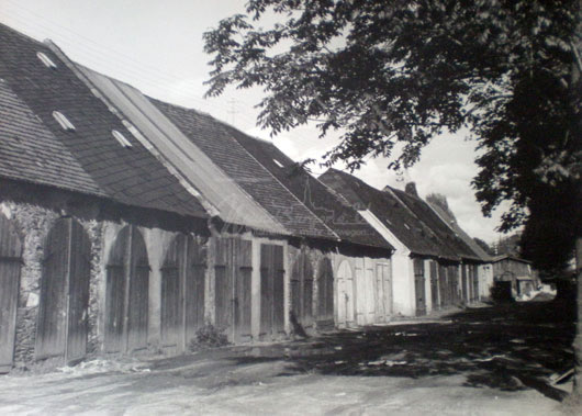 Meadow barns